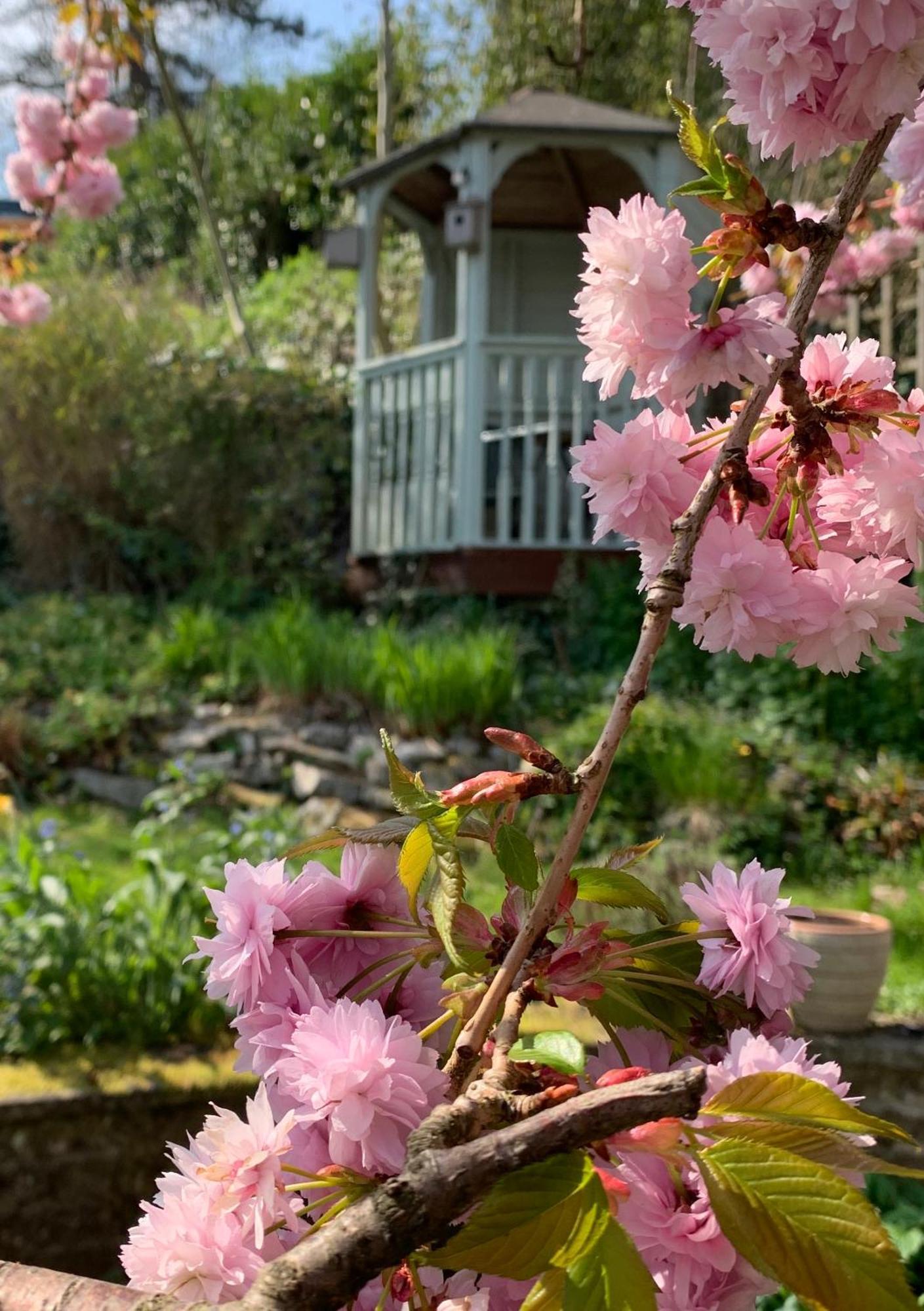 Ellen House Bed And Breakfast Matlock  Exteriér fotografie