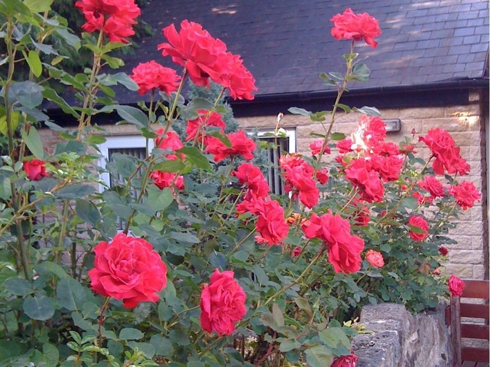 Ellen House Bed And Breakfast Matlock  Exteriér fotografie